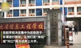 河北省高校爆料事件最新,真相与反思
