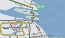 蛋仔明星最新更新爆料,趣味玩法升级，明星阵容再扩容！