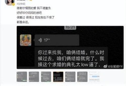 张兰最新爆料聊天记录,揭秘与某明星的惊人聊天记录