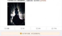 陈思诚天涯爆料新闻最新,揭秘娱乐圈不为人知的幕后真相